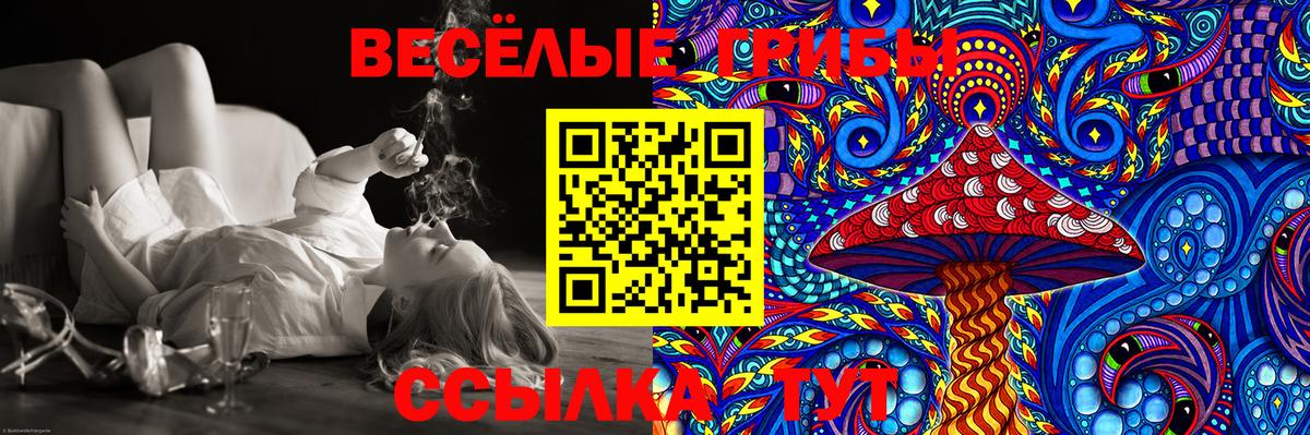 Псилоцибиновые грибы GOLDEN TEACHER  Вход с VPN  Кыштым 
