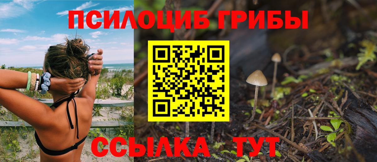 Псилоцибиновые грибы мицелий Кыштым